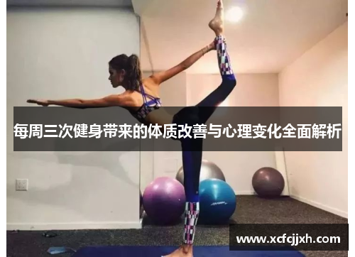 每周三次健身带来的体质改善与心理变化全面解析
